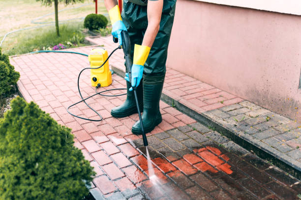 Best Driveway Cleaning and Restoration in Woodsboro, TX