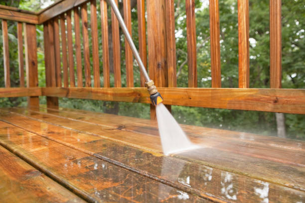 Best Vinyl Siding Pressure Washing in Woodsboro, TX